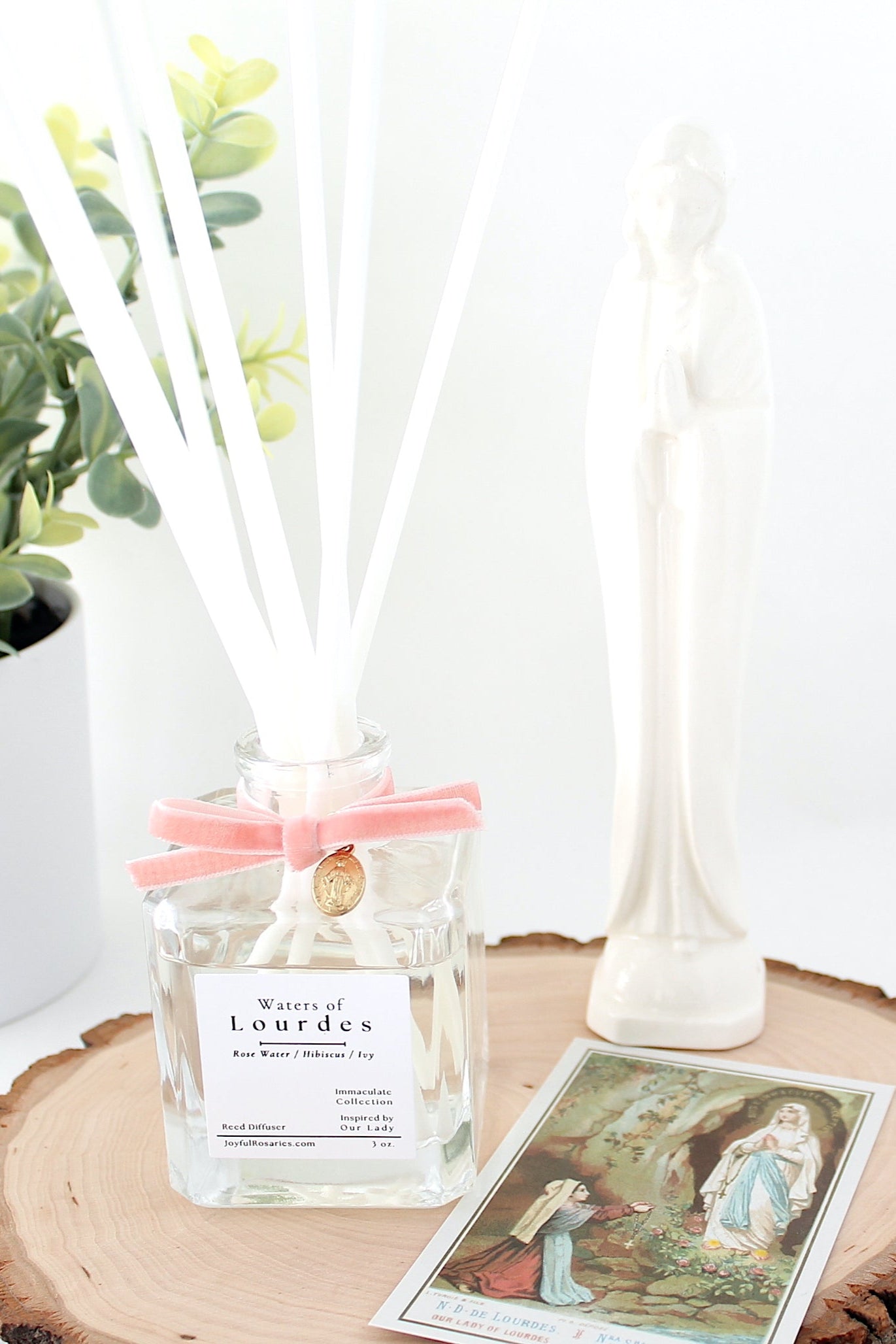 Waters of Lourdes reed diffuser with sticks, a plant, and a wooden coaster on a white surface.