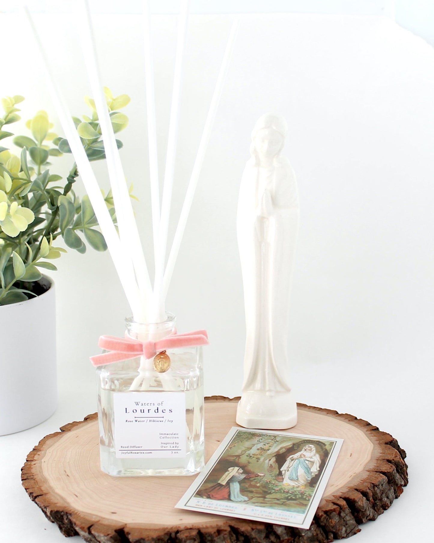 A 'Waters of Lourdes' reed diffuser with a plant on a white background